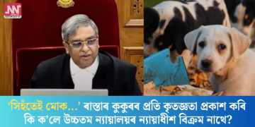 ‘সিহঁতেই মোক…’ ৰাস্তাৰ কুকুৰৰ প্ৰতি কৃতজ্ঞতা প্ৰকাশ কৰি কি ক’লে উচ্চতম ন্যায়ালয়ৰ ন্যায়াধীশ বিক্ৰম নাথে?