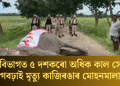 বন বিভাগত ৫ দশকৰো অধিক কাল সেৱা আগবঢ়াই মৃত্যু কাজিৰঙাৰ মোহনমালাৰ