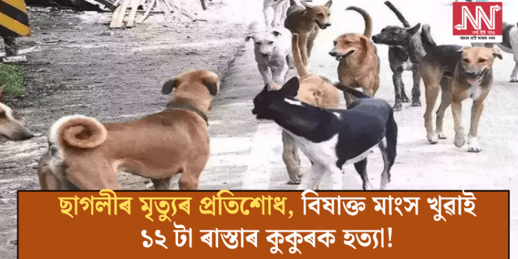 প্ৰতিনিধিত্বমূলক ফটো।