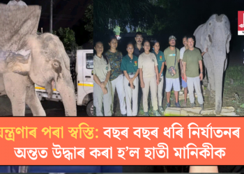 যন্ত্ৰণাৰ পৰা স্বস্তি: বছৰ বছৰ ধৰি নিৰ্যাতনৰ অন্তত উদ্ধাৰ কৰা হ’ল হাতী মানিকীক