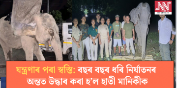 যন্ত্ৰণাৰ পৰা স্বস্তি: বছৰ বছৰ ধৰি নিৰ্যাতনৰ অন্তত উদ্ধাৰ কৰা হ’ল হাতী মানিকীক