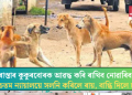 ৰাস্তাৰ কুকুৰবোৰক আৱদ্ধ কৰি ৰাখিব নোৱাৰিব; উচ্চতম ন্যায়ালয়ে সলনি কৰিলে ৰায়, বান্ধি দিলে চৰ্ত!