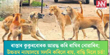 ৰাস্তাৰ কুকুৰবোৰক আৱদ্ধ কৰি ৰাখিব নোৱাৰিব; উচ্চতম ন্যায়ালয়ে সলনি কৰিলে ৰায়, বান্ধি দিলে চৰ্ত!