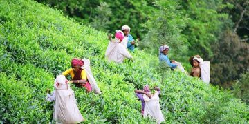 চাহ শ্ৰমিকৰ অধিকাৰ সুৰক্ষিত নে? চৰকাৰ আৰু মালিকৰ উদাসীনতাৰ বিৰুদ্ধে ৰাজ্যজুৰি তীব্ৰ প্ৰতিবাদৰ হুংকাৰ