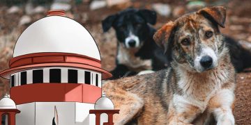  পথৰ কুকুৰক হত্যা কৰাৰ কথা কোনেও কোৱা নাই! উচ্চতম ন্যায়ালয়ত কেন্দ্ৰৰ স্পষ্টীকৰণ