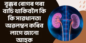 বৃক্কৰ ৰোগৰ পৰা বাচি থাকিবলৈ কি কি সাৱধানতা অৱলম্বন কৰিব লাগে জানো আহক