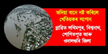 ভদিয়া বানে নষ্ট কৰিলে খেতিয়কৰ সপোন : প্লাৱিত লখিমপুৰ, বিশ্বনাথ, শোণিতপুৰ আৰু ওদালগুৰি জিলা