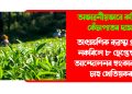 অভাৱনীয়ভাবে কমিছে কেঁচাপাতৰ দাম : তাৎক্ষণিক ব্যৱস্থা গ্ৰহণ নকৰিলে ৮ ছেপ্তেম্বৰত আন্দোলনৰ হুংকাৰ ক্ষুদ্ৰ চাহ খেতিয়কৰ