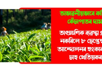 অভাৱনীয়ভাবে কমিছে কেঁচাপাতৰ দাম : তাৎক্ষণিক ব্যৱস্থা গ্ৰহণ নকৰিলে ৮ ছেপ্তেম্বৰত আন্দোলনৰ হুংকাৰ ক্ষুদ্ৰ চাহ খেতিয়কৰ