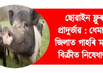 ছোৱাইন ফ্লুৰ প্ৰাদুৰ্ভাৱ : ধেমাজী জিলাত গাহৰি মাংস বিক্ৰীত নিষেধাজ্ঞা