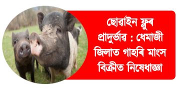 ছোৱাইন ফ্লুৰ প্ৰাদুৰ্ভাৱ : ধেমাজী জিলাত গাহৰি মাংস বিক্ৰীত নিষেধাজ্ঞা