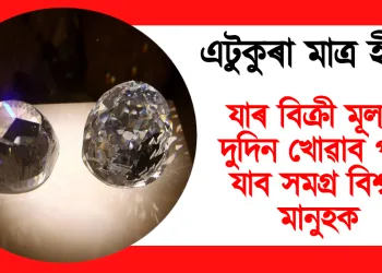 এটুকুৰা মাত্ৰ হীৰা : যাৰ বিক্ৰী মূল্যত দুদিন খোৱাব পৰা যাব সমগ্ৰ বিশ্বৰ মানুহক
