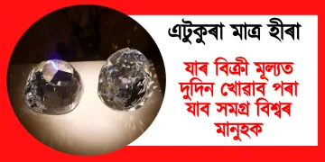 এটুকুৰা মাত্ৰ হীৰা : যাৰ বিক্ৰী মূল্যত দুদিন খোৱাব পৰা যাব সমগ্ৰ বিশ্বৰ মানুহক