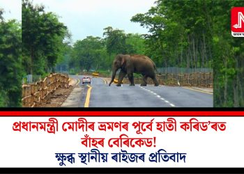 প্ৰধানমন্ত্ৰী মোদীৰ ভ্ৰমণৰ পূৰ্বে হাতী কৰিড’ৰত বাঁহৰ বেৰিকেড! ক্ষুব্ধ স্থানীয় ৰাইজৰ প্ৰতিবাদ