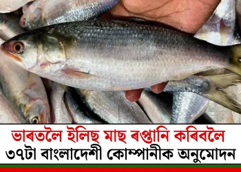 ভাৰতলৈ ইলিছ মাছ ৰপ্তানি কৰিবলৈ ৩৭টা বাংলাদেশী কোম্পানীক অনুমোদন