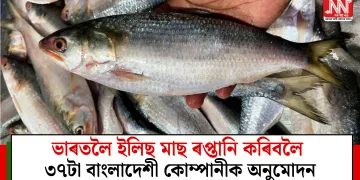 ভাৰতলৈ ইলিছ মাছ ৰপ্তানি কৰিবলৈ ৩৭টা বাংলাদেশী কোম্পানীক অনুমোদন