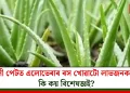 খালী পেটত এলোভেৰাৰ ৰস খোৱাটো লাভজনক নে! কি কয় বিশেষজ্ঞই?