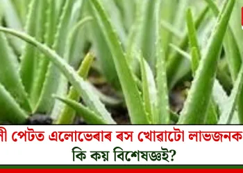 খালী পেটত এলোভেৰাৰ ৰস খোৱাটো লাভজনক নে! কি কয় বিশেষজ্ঞই?
