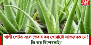খালী পেটত এলোভেৰাৰ ৰস খোৱাটো লাভজনক নে! কি কয় বিশেষজ্ঞই?