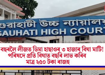 ৩০ বছৰলৈ লীজত ডিমা হাছাওৰ ৩ হাজাৰ বিঘা মাটি! পৰিষদে প্ৰতি বিঘাত বছৰি লাভ কৰিব মাত্ৰ ২৫০ টকাৰ ৰাজহ