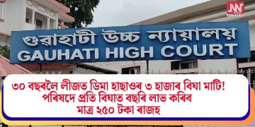 ৩০ বছৰলৈ লীজত ডিমা হাছাওৰ ৩ হাজাৰ বিঘা মাটি! পৰিষদে প্ৰতি বিঘাত বছৰি লাভ কৰিব মাত্ৰ ২৫০ টকাৰ ৰাজহ