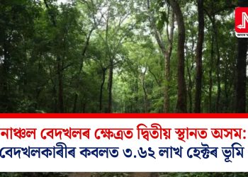 বনাঞ্চল বেদখলৰ ক্ষেত্ৰত দ্বিতীয় স্থানত অসম: বেদখলকাৰীৰ কবলত ৩.৬২ লাখ হেক্টৰ ভূমি