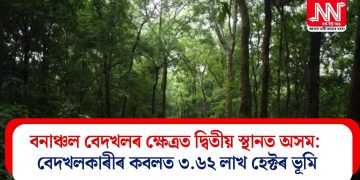 বনাঞ্চল বেদখলৰ ক্ষেত্ৰত দ্বিতীয় স্থানত অসম: বেদখলকাৰীৰ কবলত ৩.৬২ লাখ হেক্টৰ ভূমি