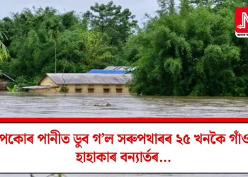 নীপকোৰ পানীত ডুব গ’ল সৰুপথাৰৰ ২৫ খনকৈ গাঁও! হাহাকাৰ বন্যাৰ্তৰ…