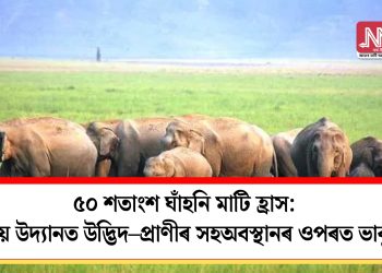 ৫০ শতাংশ ঘাঁহনি মাটি হ্ৰাস: ৰাষ্ট্ৰীয় উদ্যানত উদ্ভিদ–প্ৰাণীৰ সহঅবস্থানৰ ওপৰত ভাবুকি