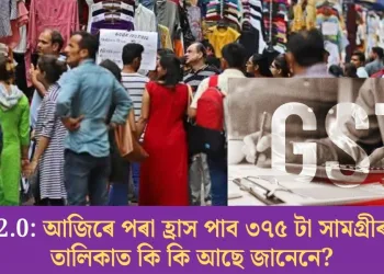 GST 2.0: আজিৰে পৰা হ্রাস পাব ৩৭৫ টা সামগ্ৰীৰ দাম; তালিকাত কি কি আছে জানেনে?