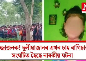 লজ্জাজনক! দুলীয়াজানৰ এখন চাহ বাগিচাত সংঘটিত হৈছে নাৰকীয় ঘটনা