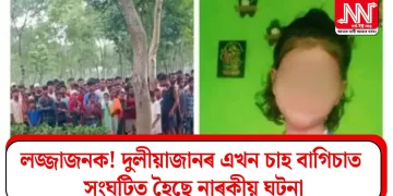 লজ্জাজনক! দুলীয়াজানৰ এখন চাহ বাগিচাত সংঘটিত হৈছে নাৰকীয় ঘটনা
