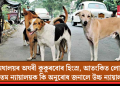 মেঘালয়ৰ অঘৰী কুকুৰবোৰ হিংস্ৰ, আতংকিত লোক! উচ্চতম ন্যায়ালয়ক কি অনুৰোধ জনালে উচ্চ ন্যায়ালয়ে?