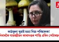 কাঠফুলা খুৱাই হত্যা নিজ পৰিয়ালক! তিনিবাৰকৈ যাৱজ্জীৱন কাৰাদণ্ডৰ শাস্তি এৰিন পেটাৰছনক