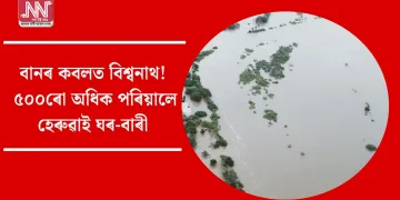 বানৰ কবলত বিশ্বনাথ, ৫০০ৰো অধিক পৰিয়ালে হেৰুৱাই ঘৰ-বাৰী