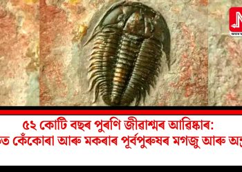 ৫২ কোটি বছৰ পুৰণি জীৱাশ্মৰ আৱিষ্কাৰ: অক্ষত কেঁকোৰা আৰু মকৰাৰ পূৰ্বপুৰুষৰ মগজু আৰু অন্ত্ৰ…