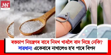 ৰক্তচাপ নিয়ন্ত্ৰণৰ বাবে নিমখ খাবলৈ বাদ দিছে নেকি? সাৱধান! একেবাৰে নাখালেও হ’ব পাৰে বিপদ