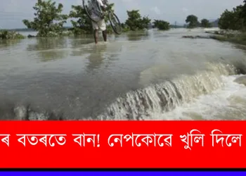 পূজাৰ বতৰতে বান! নেপকোৱে খুলি দিলে পানী