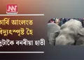 কাৰ্বি আংলংত বিদ্যুৎস্পৃষ্ট হৈ মৃত্যু দুটাকৈ বনৰীয়া হাতী