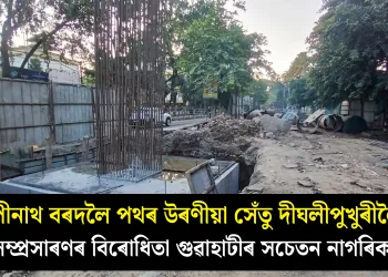 গোপীনাথ বৰদলৈ পথৰ উৰণীয়া সেঁতু দীঘলীপুখুৰীলৈকে সম্প্ৰসাৰণৰ বিৰোধিতা ‎গুৱাহাটীৰ সচেতন নাগৰিকৰ