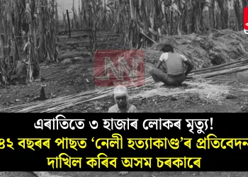 এৰাতিতে ৩ হাজাৰ লোকৰ মৃত্যু! ৪২ বছৰৰ পাছত ‘নেলী হত্যাকাণ্ড’ৰ প্ৰতিবেদন দাখিল কৰিব অসম চৰকাৰে