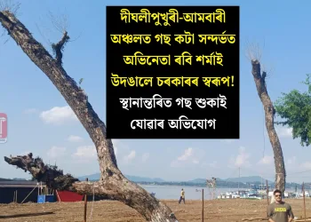 দীঘলীপুখুৰী-আমবাৰী অঞ্চলত গছ কটা সন্দৰ্ভত অভিনেতা ৰবি শৰ্মাই উদঙালে চৰকাৰৰ স্বৰূপ! স্থানান্তৰিত গছ শুকাই যোৱাৰ অভিযোগ