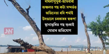 দীঘলীপুখুৰী-আমবাৰী অঞ্চলত গছ কটা সন্দৰ্ভত অভিনেতা ৰবি শৰ্মাই উদঙালে চৰকাৰৰ স্বৰূপ! স্থানান্তৰিত গছ শুকাই যোৱাৰ অভিযোগ