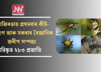 কাজিৰঙাত প্ৰথমবাৰ কীট-পতংগ আৰু মকৰাৰ বৈজ্ঞানিক জৰীপ সম্পন্নঃ আৱিষ্কৃত ২৮৩ প্ৰজাতি