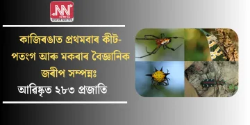 কাজিৰঙাত প্ৰথমবাৰ কীট-পতংগ আৰু মকৰাৰ বৈজ্ঞানিক জৰীপ সম্পন্নঃ আৱিষ্কৃত ২৮৩ প্ৰজাতি