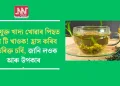 তৈলযুক্ত খাদ্য খোৱাৰ পিছত গ্ৰীণ টি খাওক! হ্ৰাস কৰিব অতিৰিক্ত চৰ্বি, জানি লওক আৰু উপকাৰ