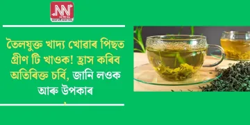 তৈলযুক্ত খাদ্য খোৱাৰ পিছত গ্ৰীণ টি খাওক! হ্ৰাস কৰিব অতিৰিক্ত চৰ্বি, জানি লওক আৰু উপকাৰ