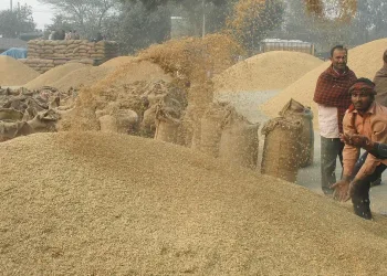 তেলমুক্ত চাউলৰ তুঁহৰ ৰপ্তানিত থকা নিষেধাজ্ঞা প্ৰত্যাহাৰ ভাৰতৰ