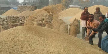 তেলমুক্ত চাউলৰ তুঁহৰ ৰপ্তানিত থকা নিষেধাজ্ঞা প্ৰত্যাহাৰ ভাৰতৰ