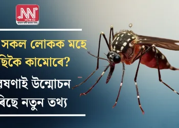 কোন সকল লোকক মহে বেছিকৈ কামোৰে? গৱেষণাই উন্মোচন কৰিছে নতুন তথ্য